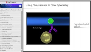 Conheça os diversos usos da citometria de fluxo na biomedicina